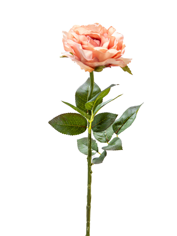 2221043MV 28" Rose Stem Mauve