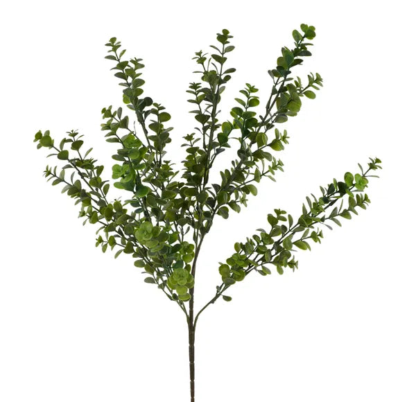 FG670632 23" Boxwood Bush Lt Green