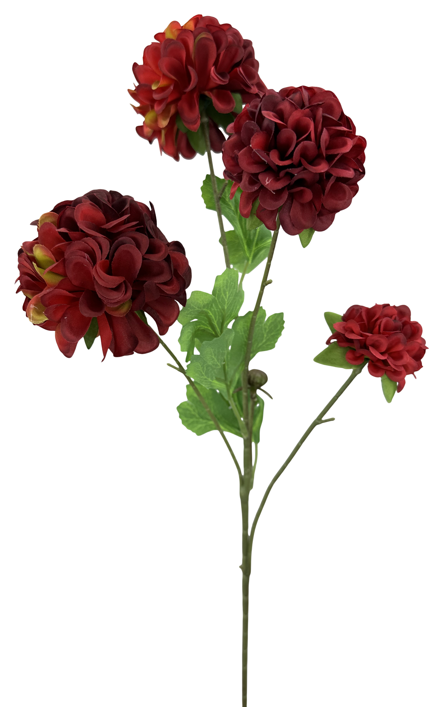 64035RD 27" Zinna SprayX4 Red