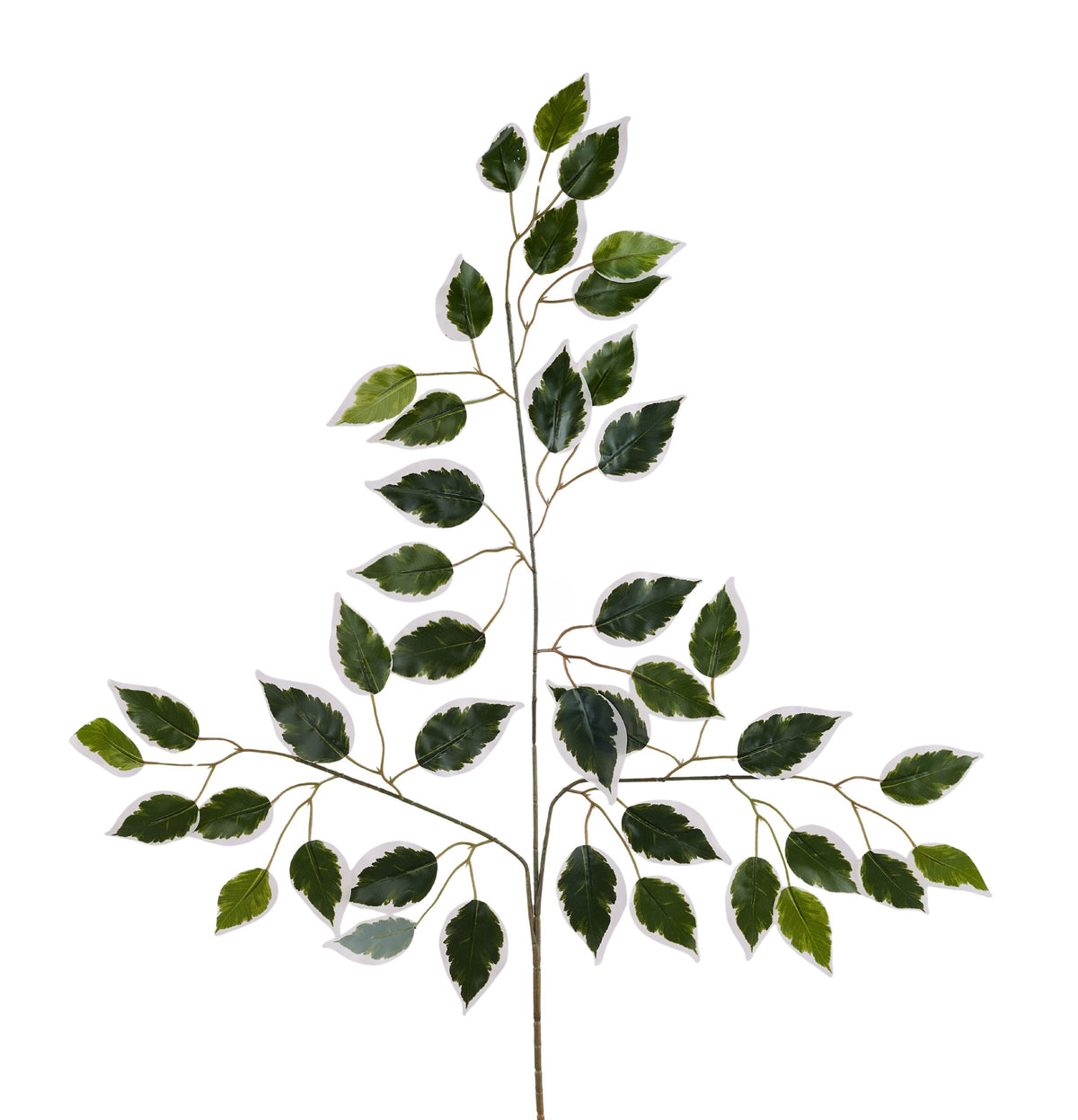 FG696331 23"L Ficus Spray Variegated Gr/Wh