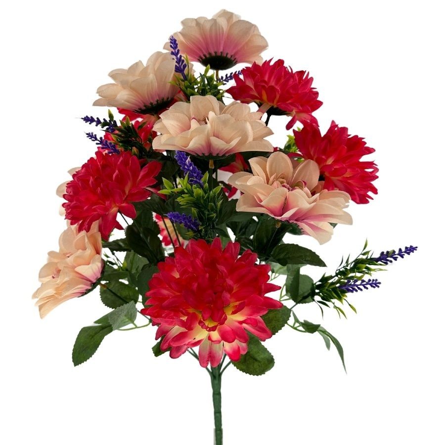 CS12986-DustyRose Dahlia Mum MixX24