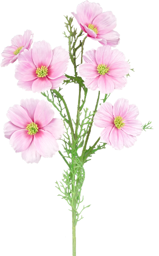 29387PK 30"H Sat Cosmo Spray Pink