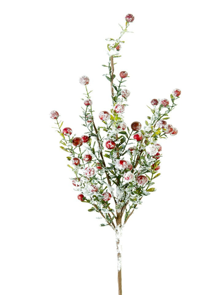 2827125RD 21" SNOWY BOXWOOD BERRY SPRAY Red