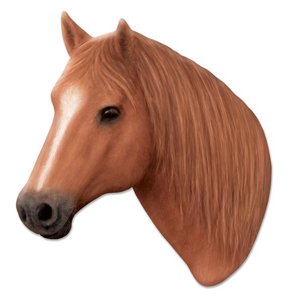 MD126375 12.5"L x 13.25"H Metal Horse Sign Chestnut