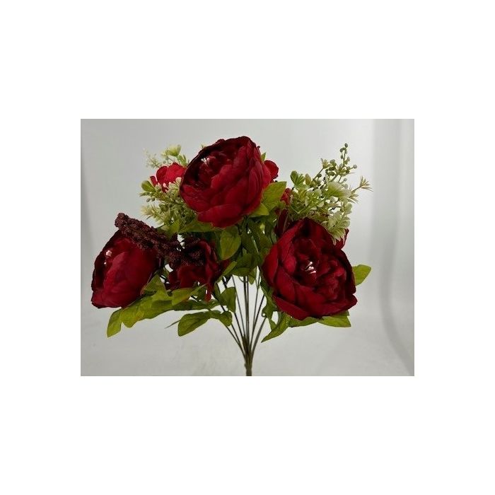CS22400RD X13 Passionate Peony Bush - Red