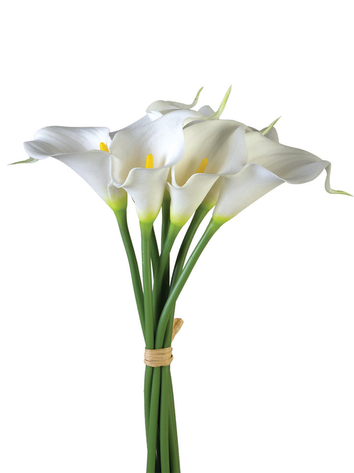 2242036WH 12" Callia Lily Stem X7 White