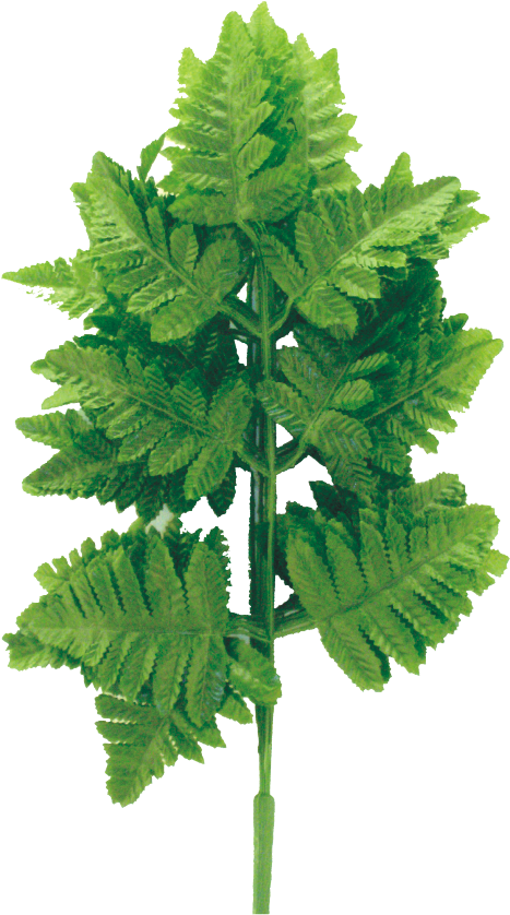 13053GN Silk Leather Fern