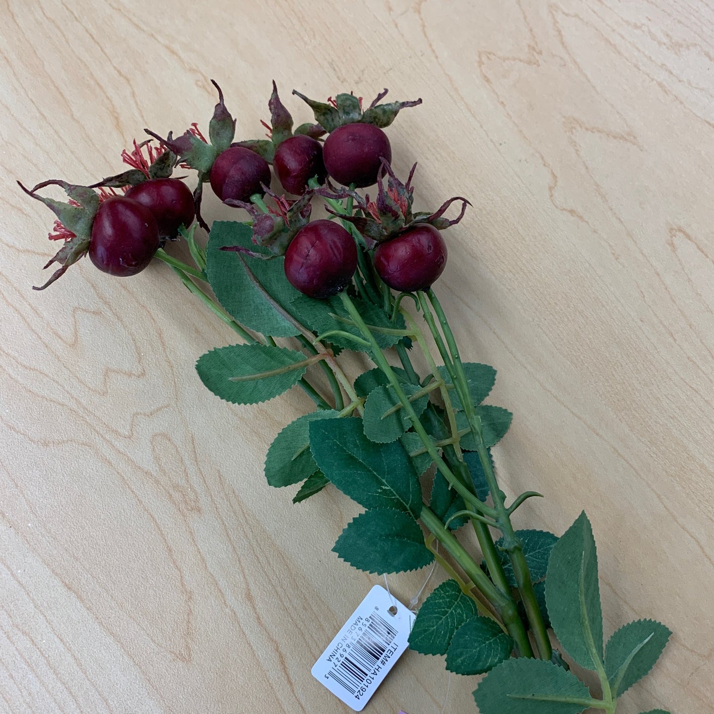 HA101924 26.5"L Rose Hip Spray Red