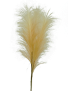 56521BE 30" Pampas Grass SprayX5 Beige
