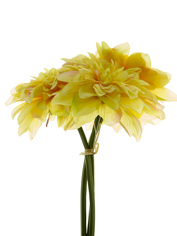 2225034LY 10" DAHLIA BUNDLE Yellow