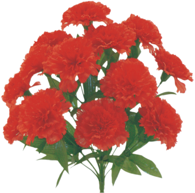 314113RD H17" Color Fast Carnation BushX14 RED