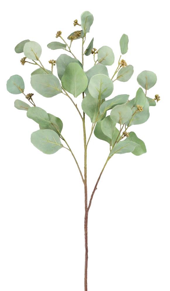 FG5445 34" Silver Dollar Eucalyptus & Berry Spray – Green