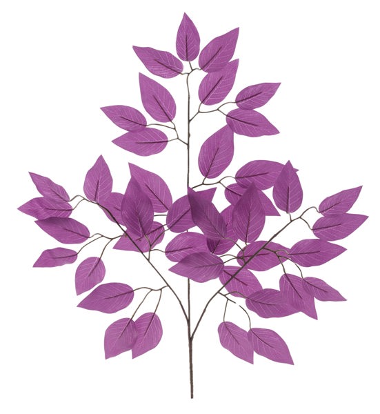 FG633734 23"L Ficus Spray, Plum