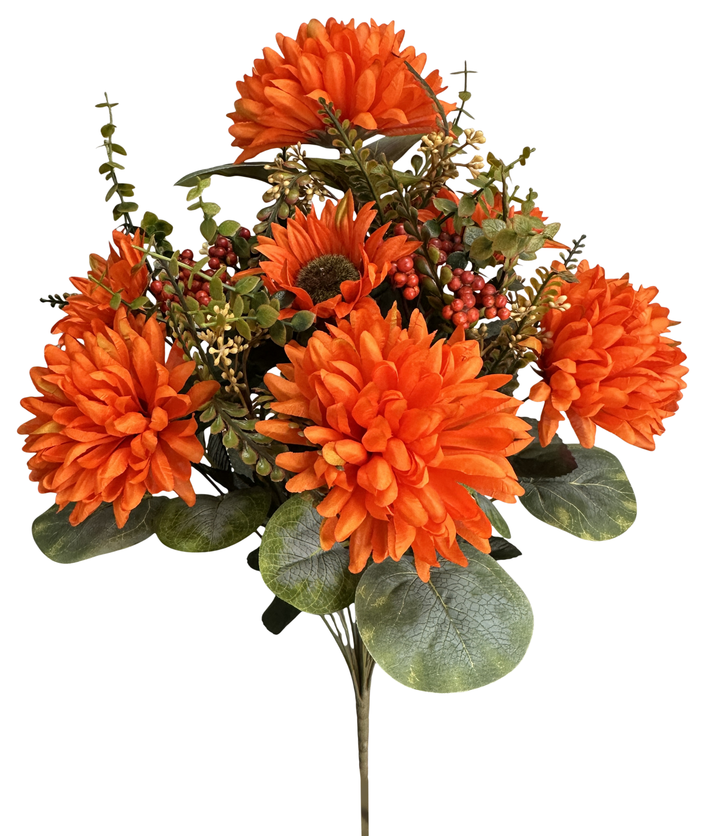 57529OR H21" Ball Mum Sunflower Berry BushX14 Orange