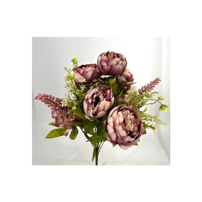 CS22400CAM Passionate Peony Bush Cameo Rose