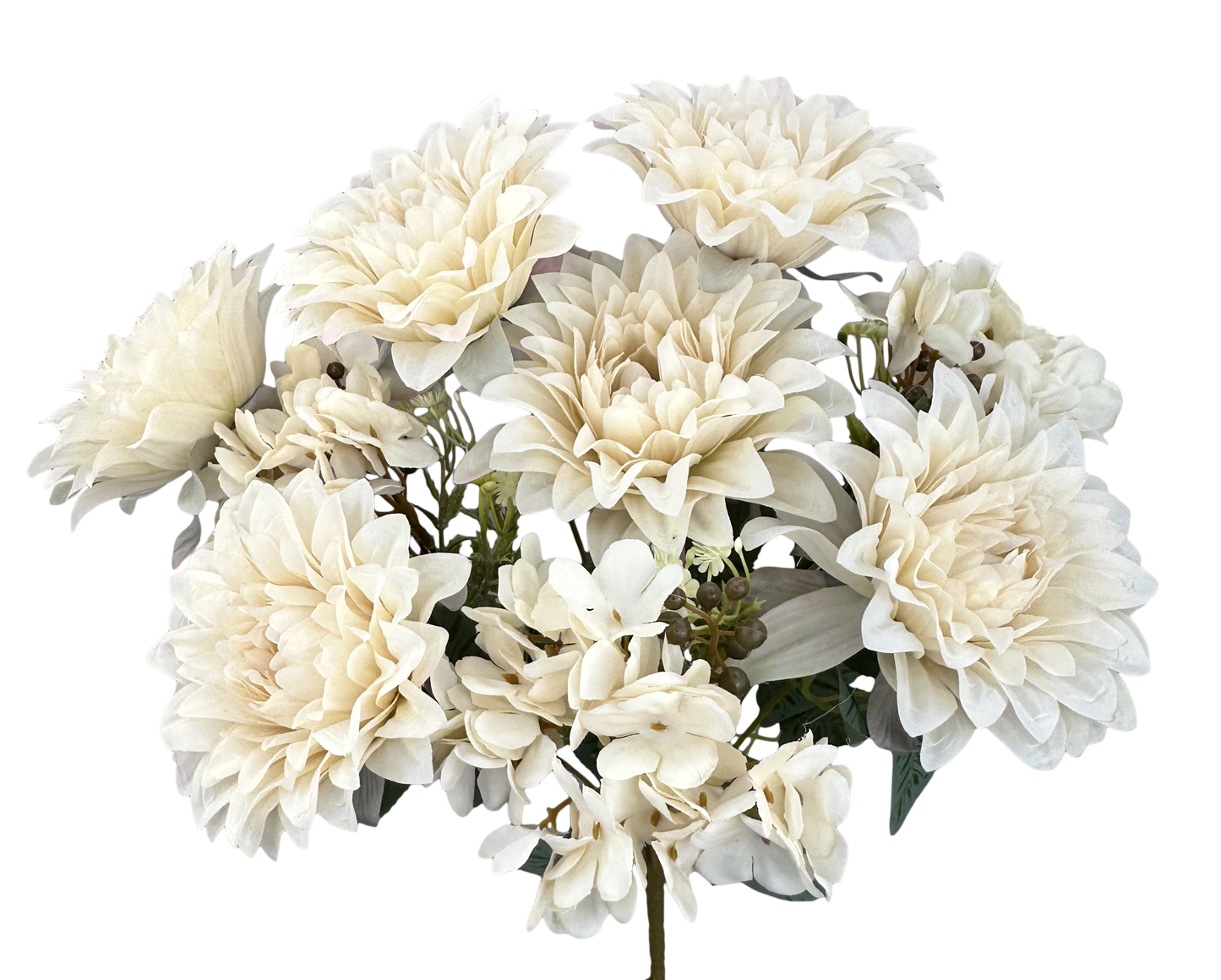 57329BE H17" Dahlia Hydr Bush X9