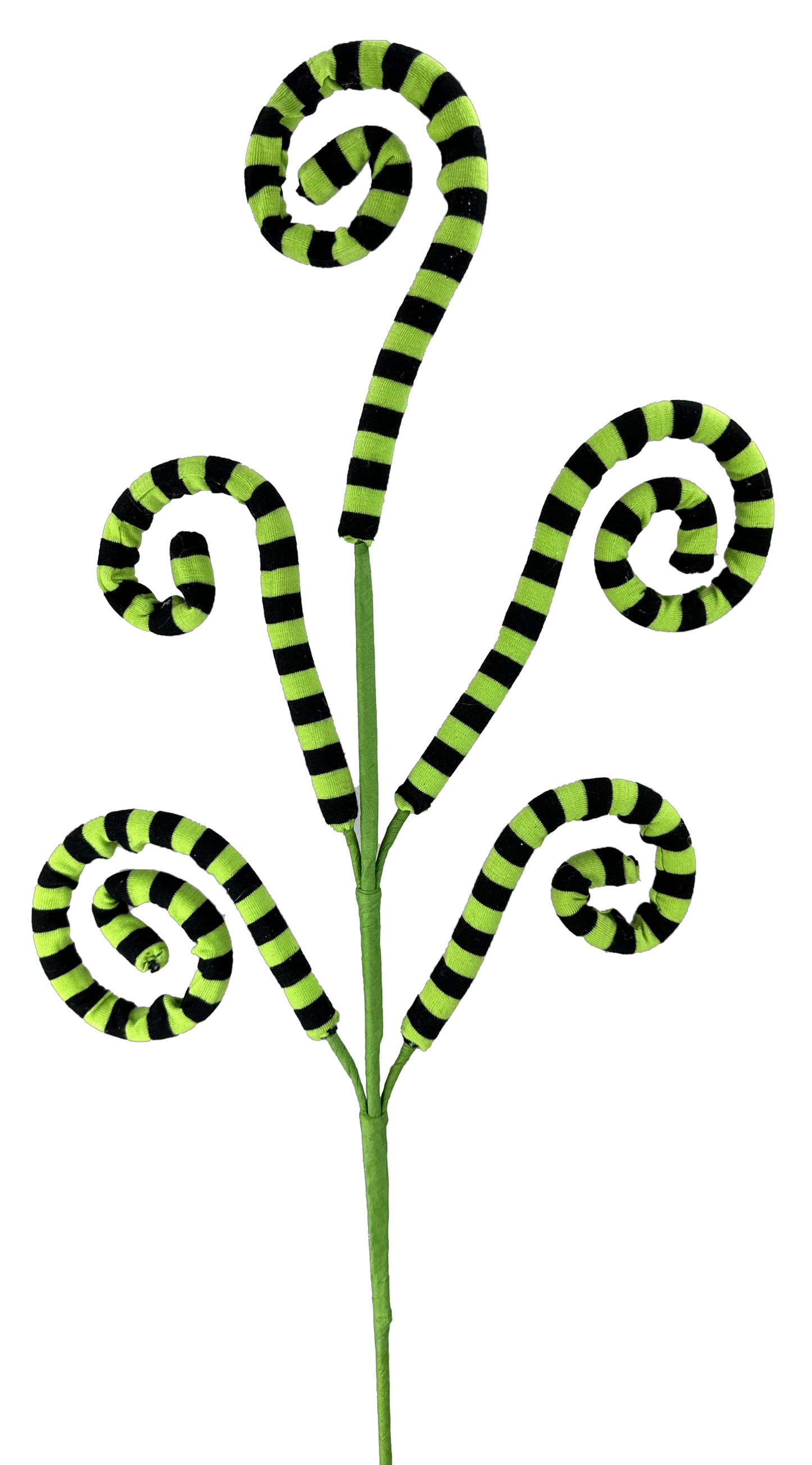 57055GNBK Stripe Curly Spray x 5 H26 Green/Black