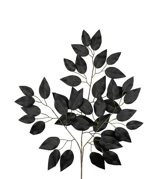 FG633702 23"L Ficus Spray, Black