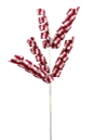 74185RD 16" Gingham Curly PickX5 Red