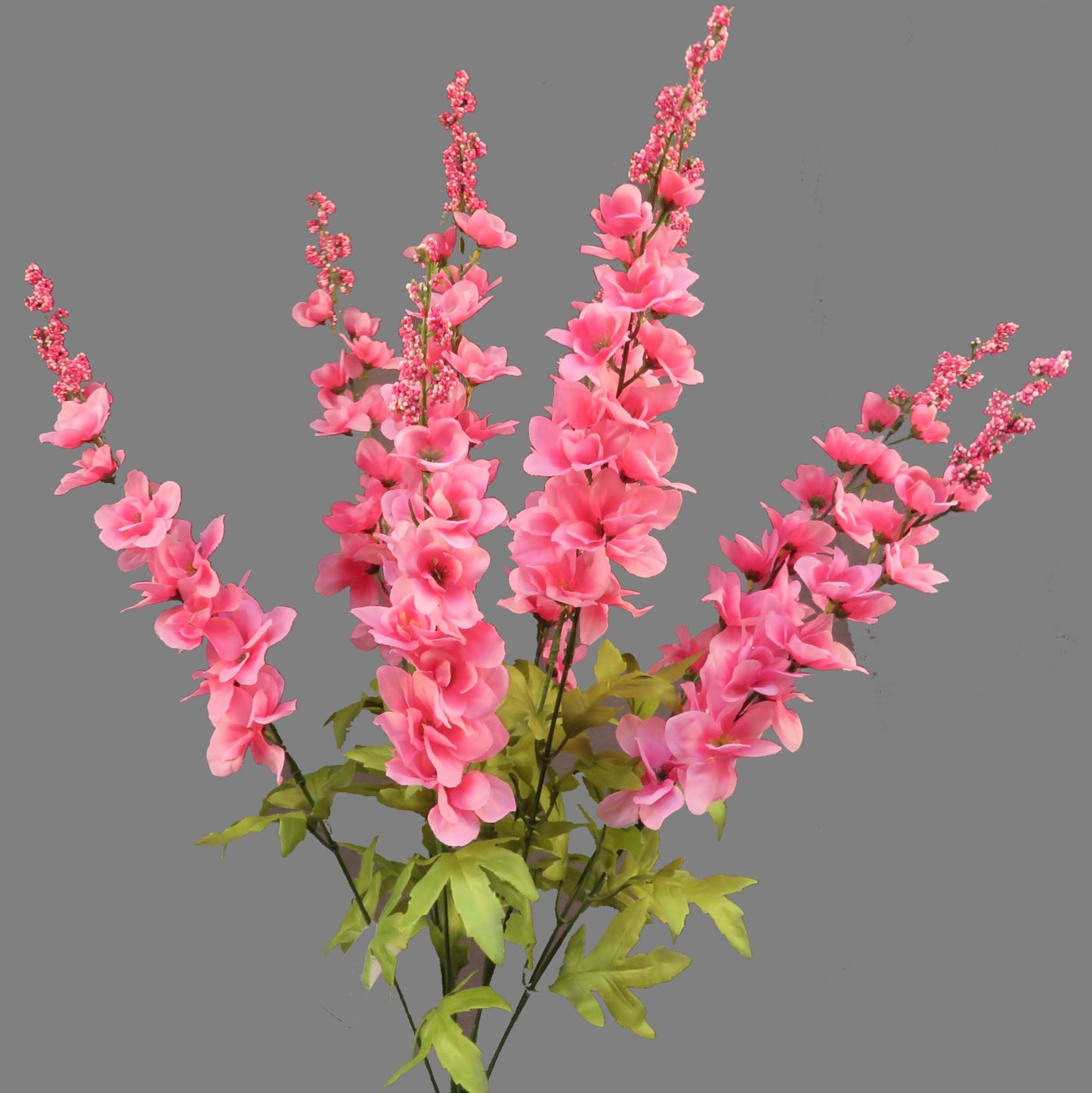 CS21623PK Delphiniumx9 Pink