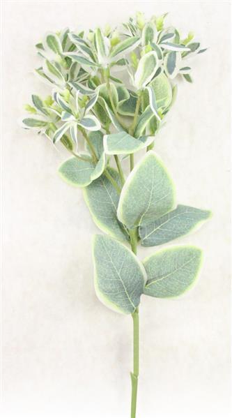 FG5843 18.5"L Tropical Croton Spray Variegated