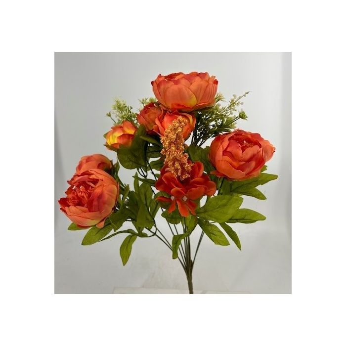 CS22400SAL Passionate Peony Bush X13 Salmon
