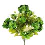 CS22400JAD X13 Passionate Peony Bush - Jadeite