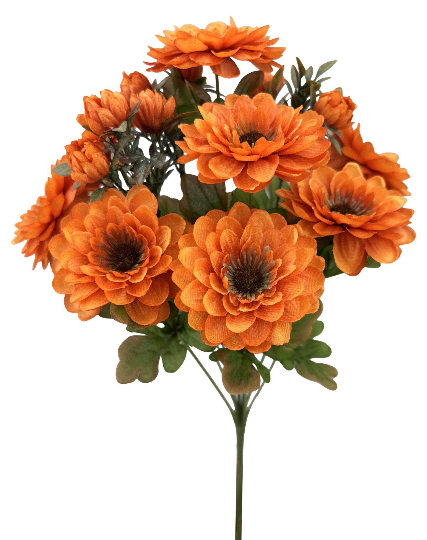 57536OR H17" Zinnia BushX12 Orange