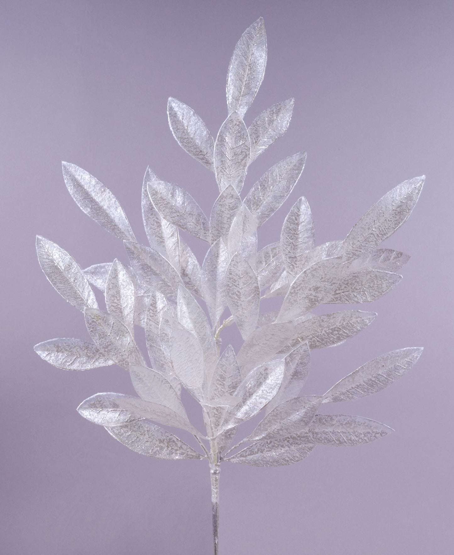 XX968241 23.5"L Pearl Bay Leaf Spray Silver