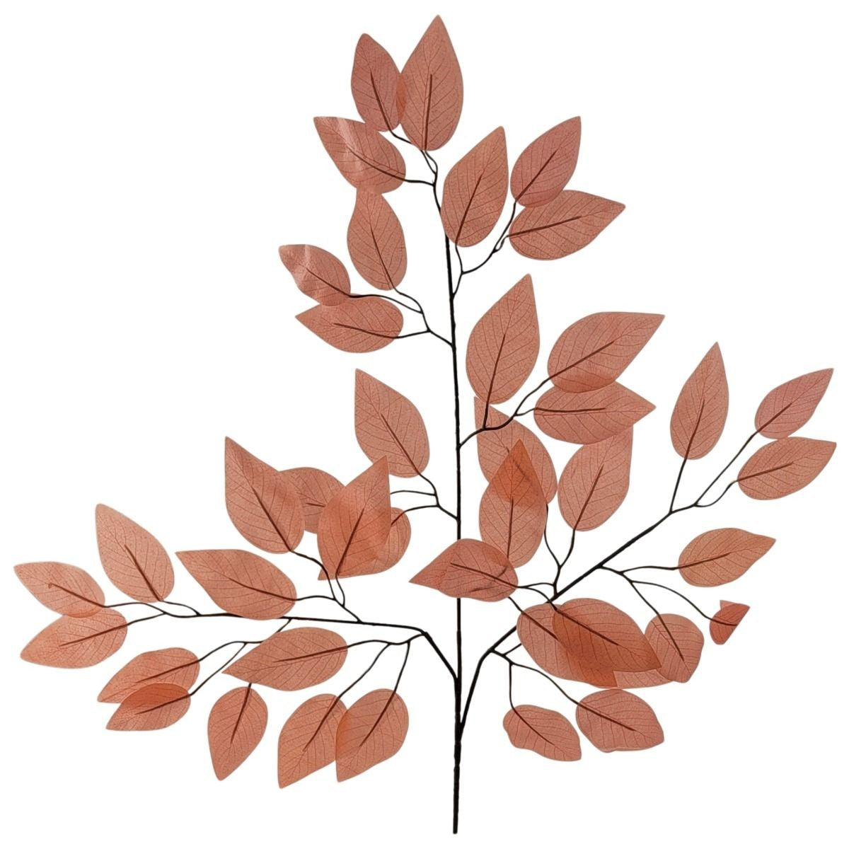 CS21010-Coral X42 Ficus Spray Coral