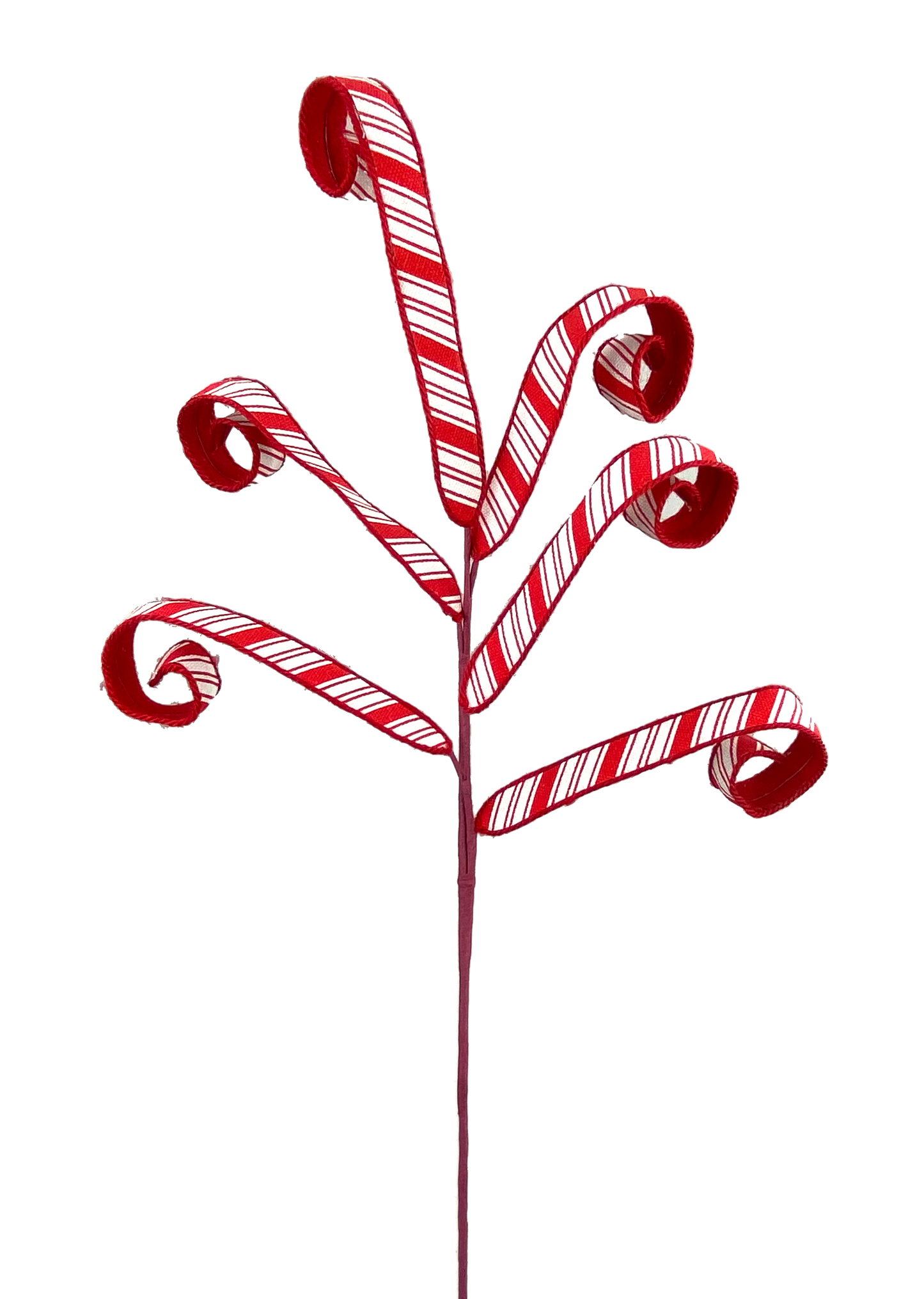 85285RDWT Curly Spray x 6 H27 Red/White