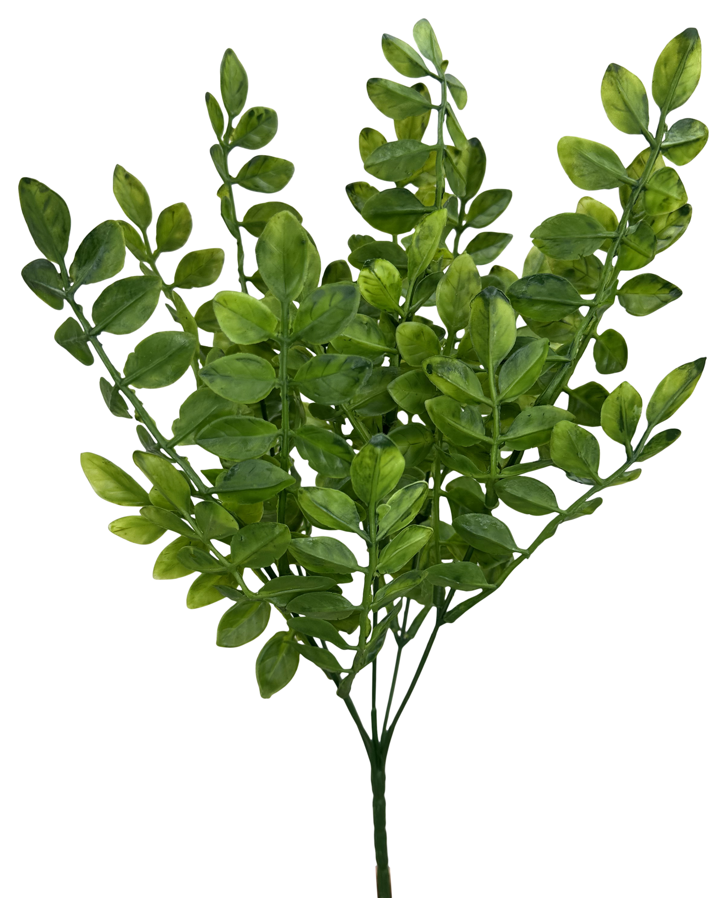 13685GN 15" Plastic Wisteria Leaves Bush Green