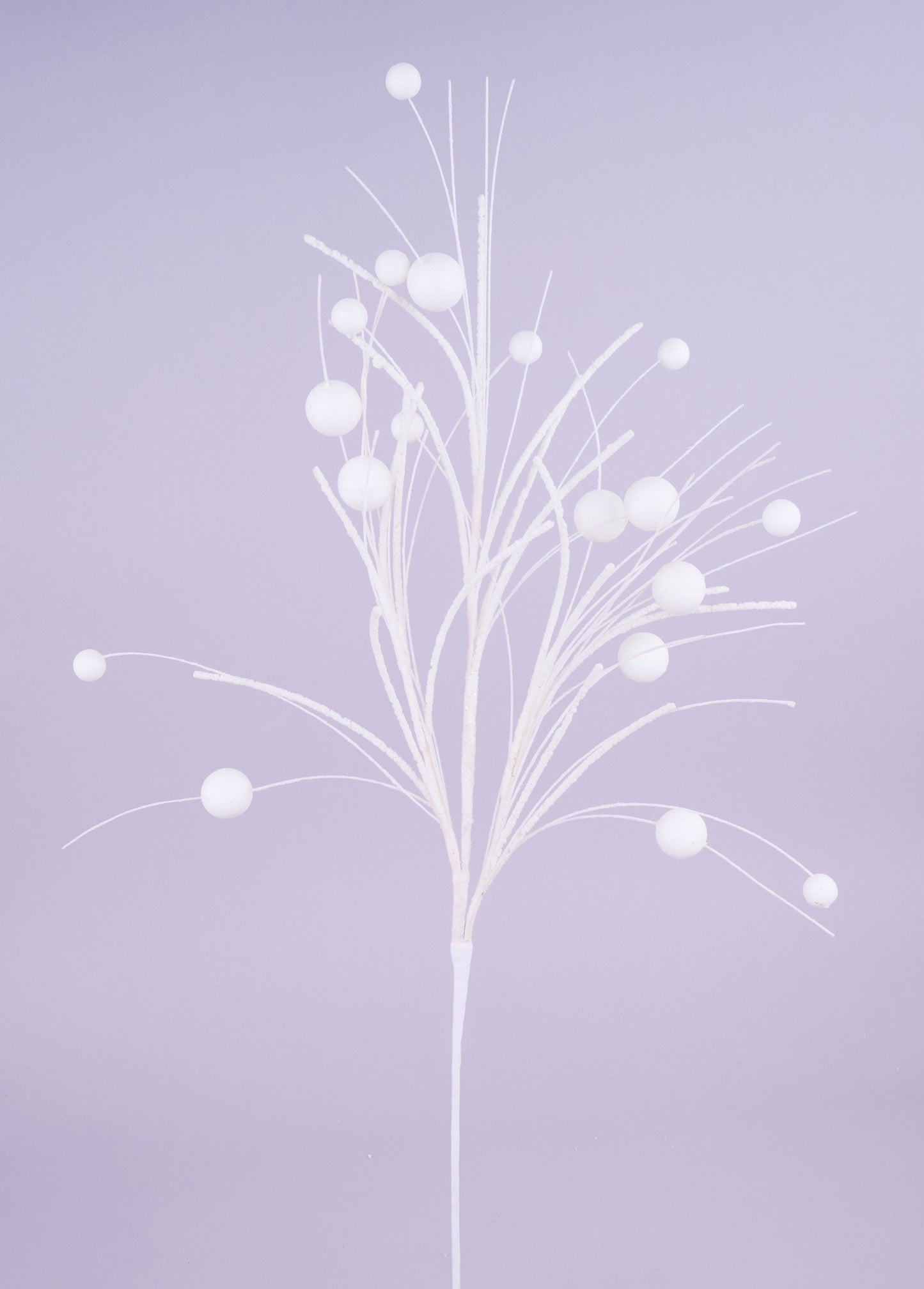 MN033427 32"L Glittered Ball/Twig Fishline Spray White