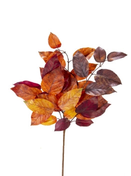 2752045BR  20" Salal Leaf Pick  Brown/Purple/Yellow