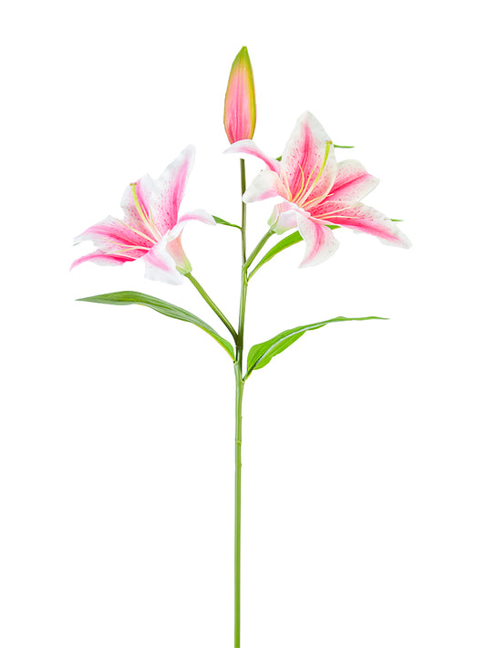 2240054PK     30"  Stargazer Lily    Pink/White