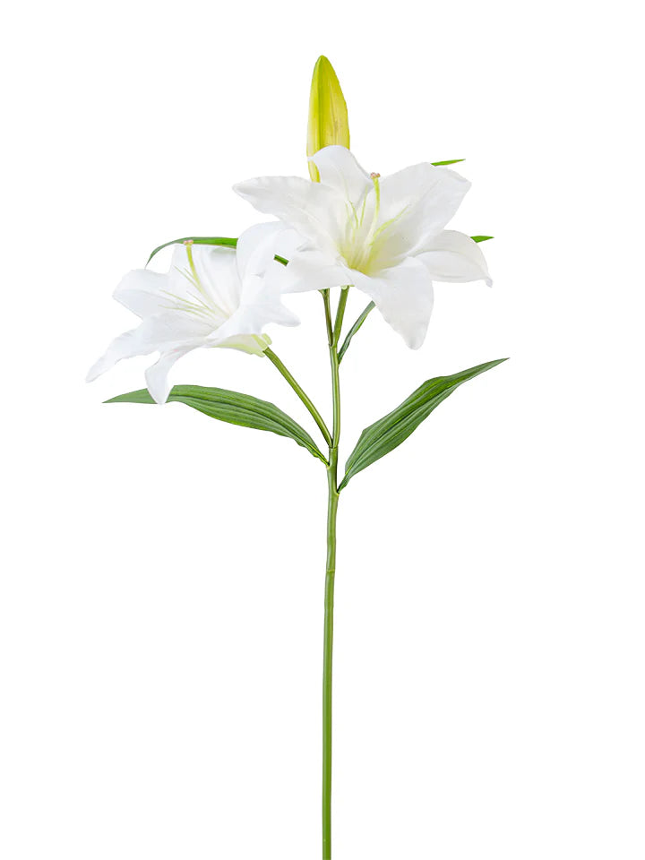 2240054WH    30" Stargazer Lily   White