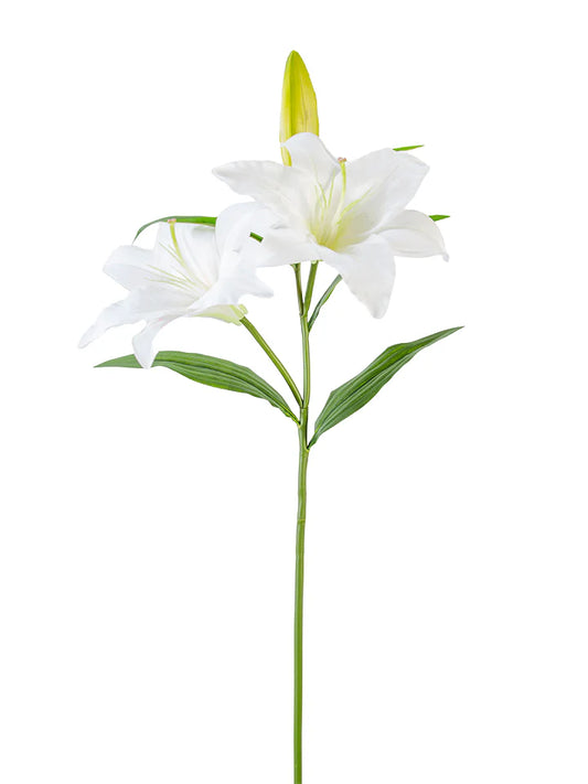 2240054WH    30" Stargazer Lily   White