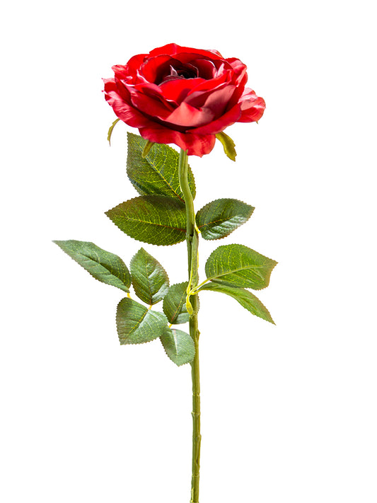 221043BU    28"  Rose Stem   Burgandy