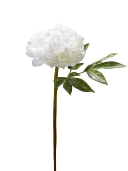 2834004WH 22" Glittered Peony Spray White