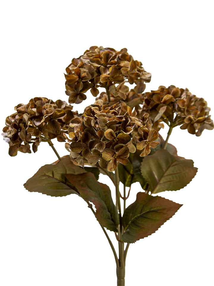 2752062BR   17" HYDRANGEA BUSH   Brown