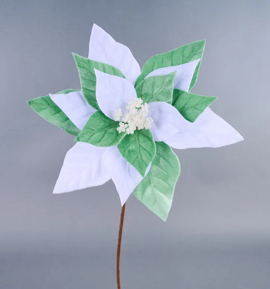 XS4157H4    11"Dia Velvet Poinsettia, 22"Oal   Clover Green/White