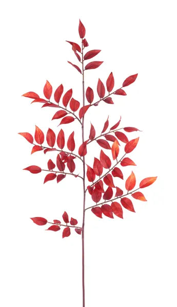 HA1863H8   32"L Myrtlewood Leaves Spray   Dark Red