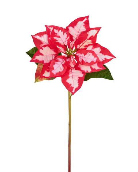 XS4098A5    24"L Poinsettia Stem  Red/Cream/Green