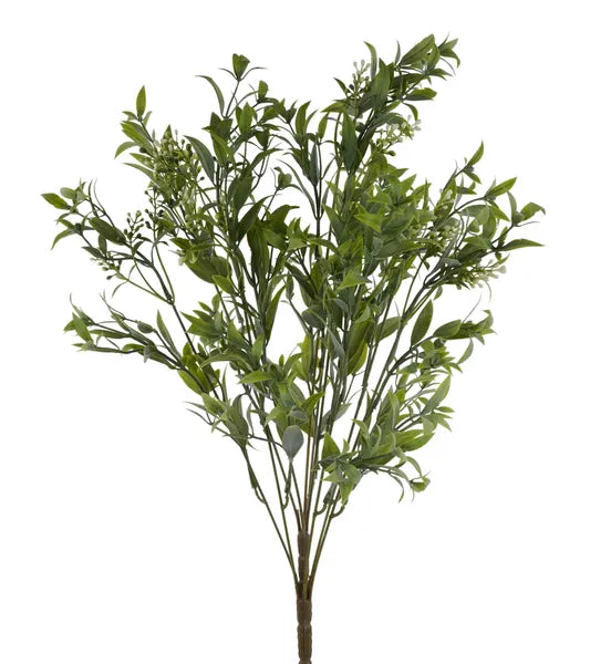 FG670832    24" Ruscus Bush   Lt Green