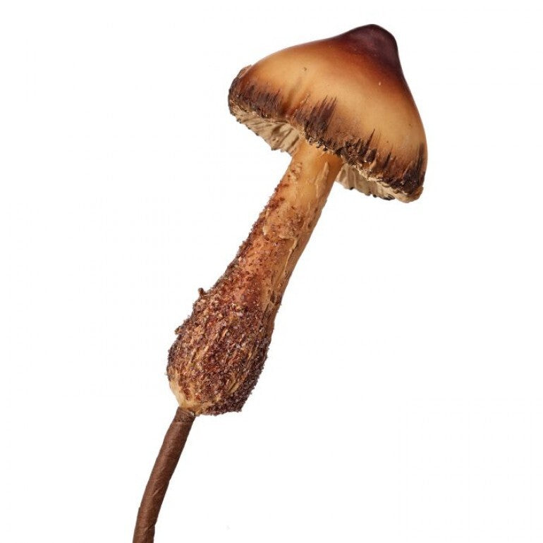 MTX72904    11" Deep Forest Petite Mushroom Pick