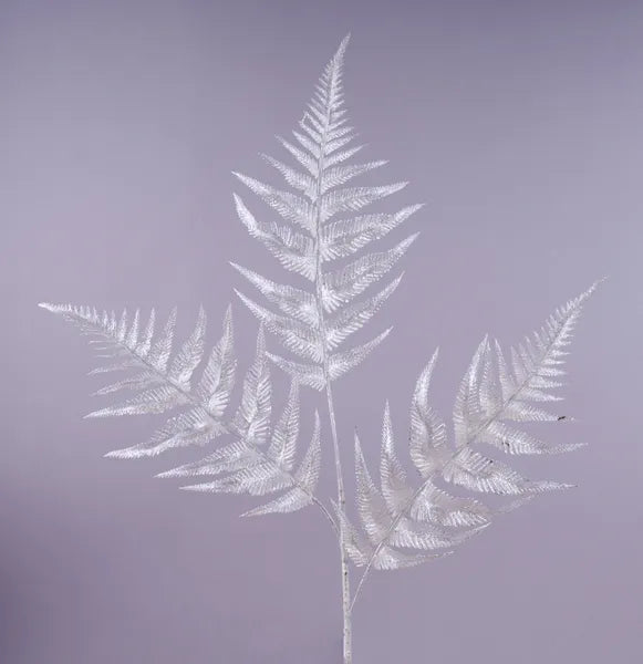 XS248641    26"L Pearl Fern Leaf Spray   Silver