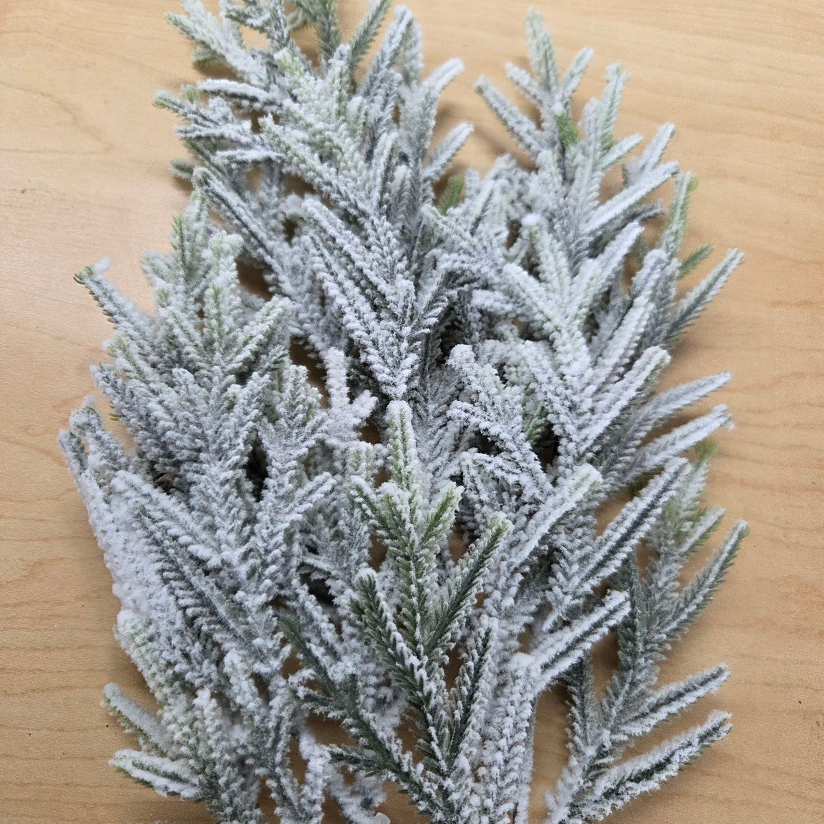 83660   24" Pine Spray X3 With Snow