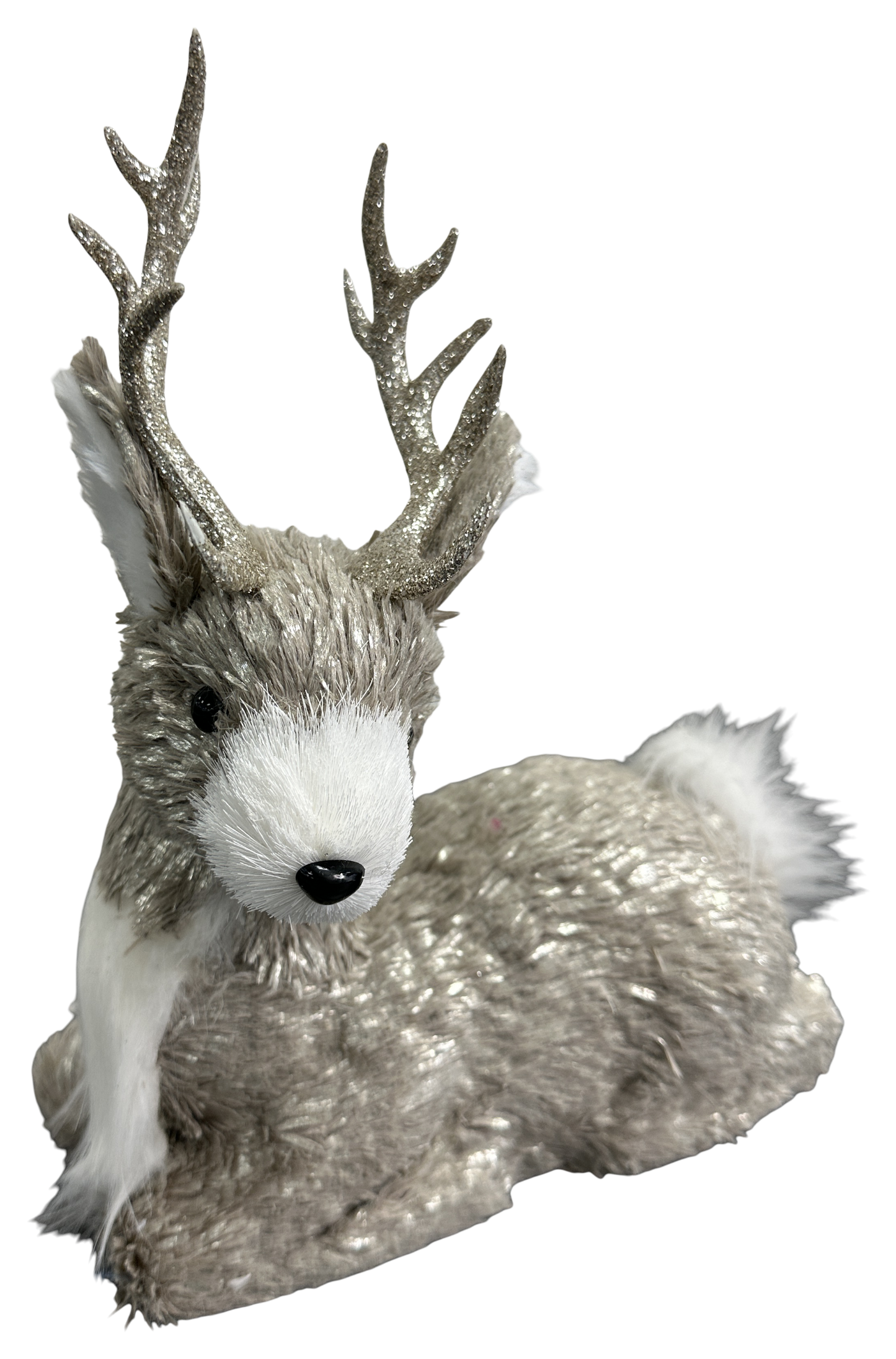 86994NAT    H10XW8XD5      Deer