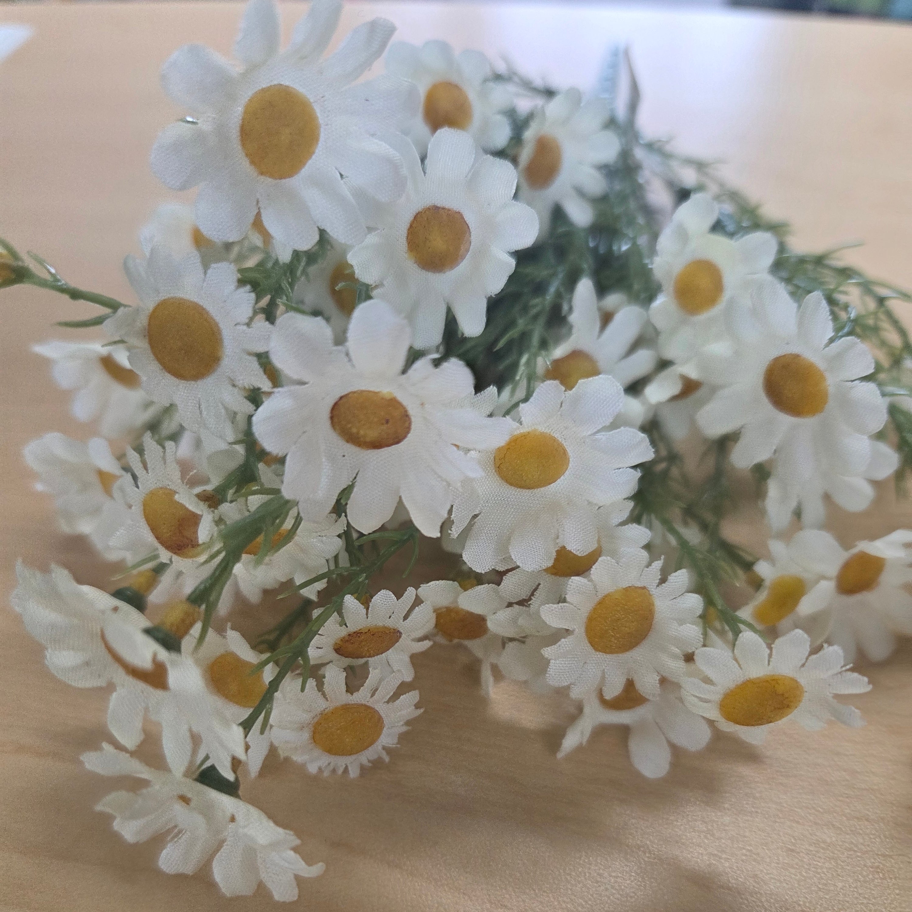 6212-C 15" Daisy Bush – The Ribbon Shed