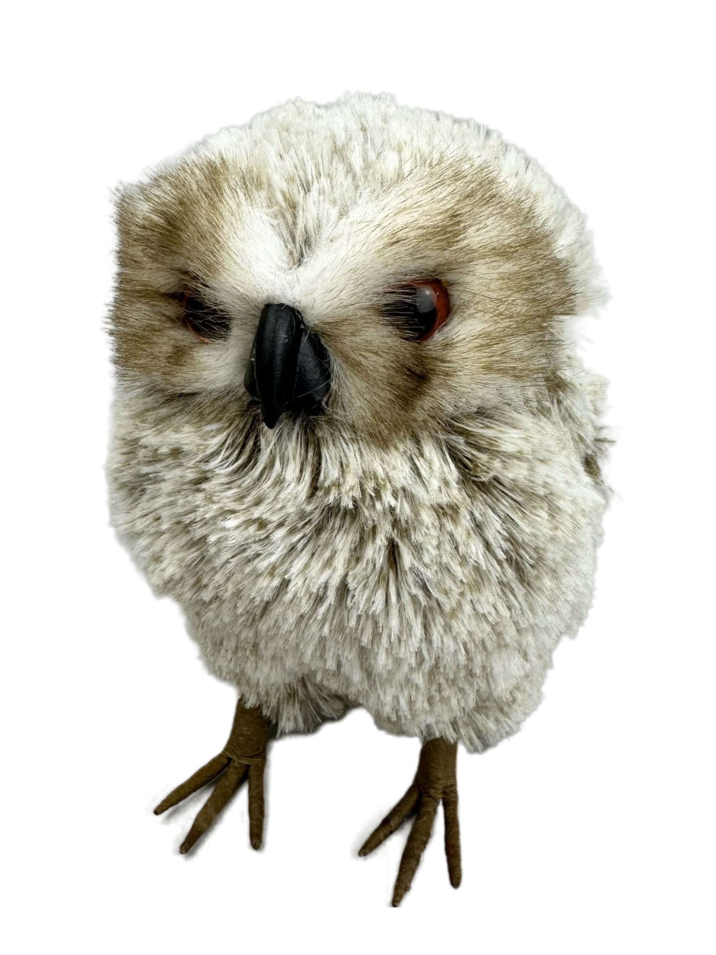85860BN    H6XW6XD4     Owl